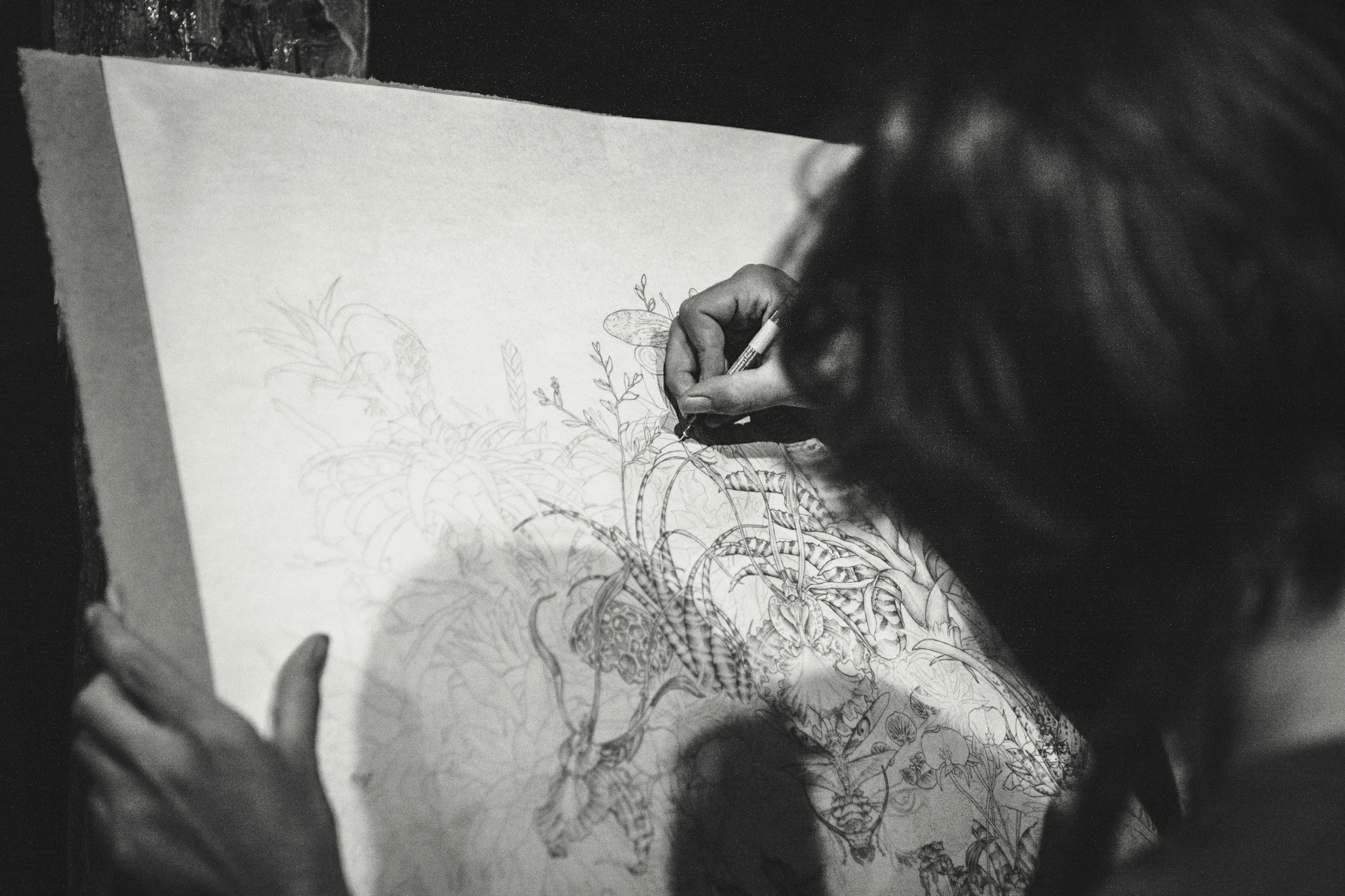 Drawing